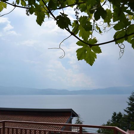 Villa Fania Ohrid Bagian luar foto